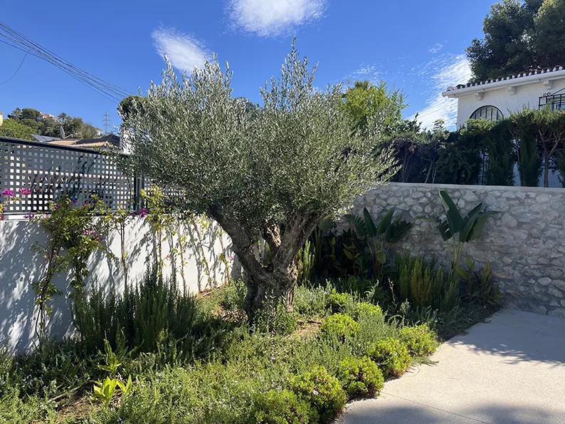 Villa en Las Chapas garden: view 1 from the photographic archive