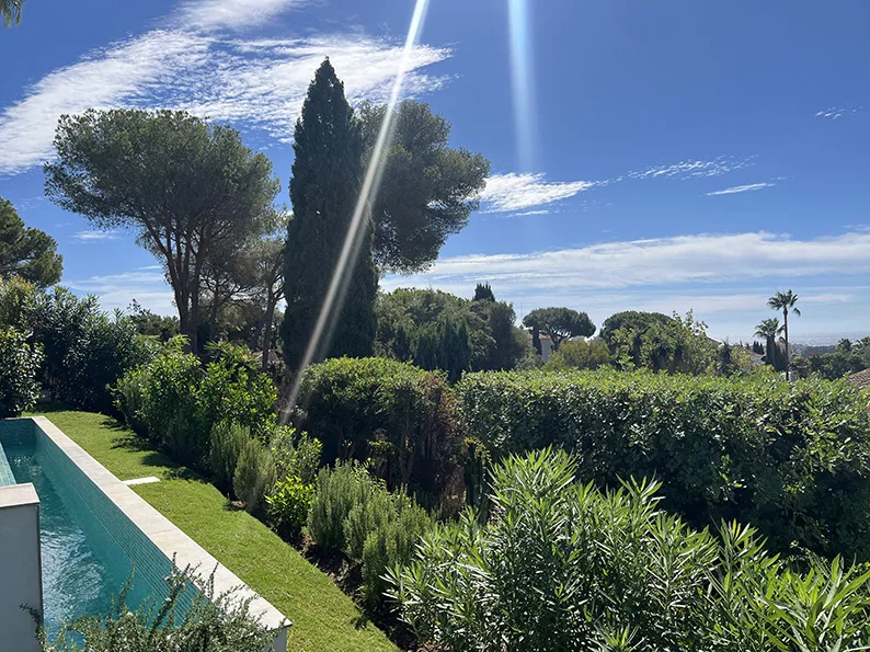 Pines, hedges and planting in the Las Chapas villa garden