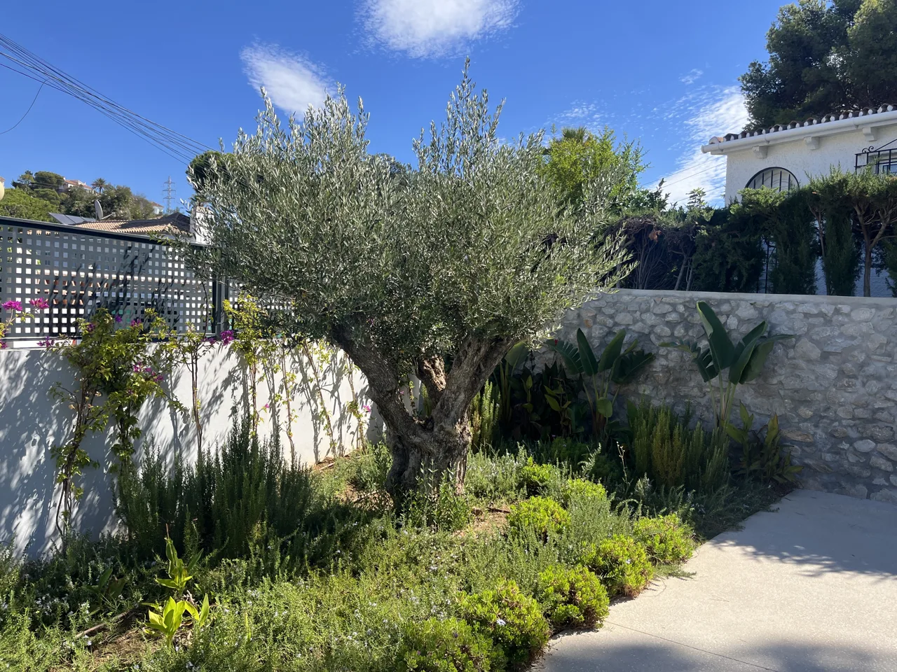 Villa en Las Chapas garden: view 5 from the photographic archive